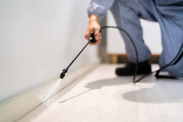 Licensed Pest Control service in Hughes Springs, TX - Show Me Pest Control
