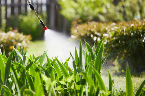 Tamper-Resistant Bait Stations for Rodents in Hughes Springs