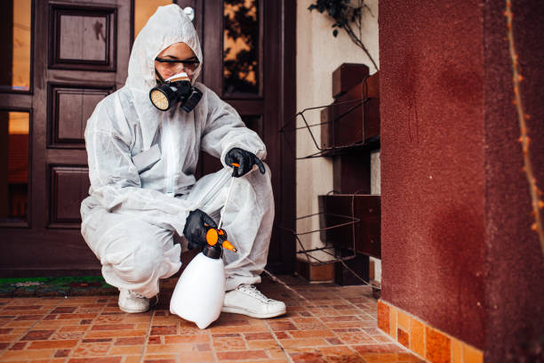 Attic and Crawl Space Rodent Treatment in Hughes Springs